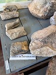 IMG_1883