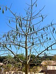 IMG_1904