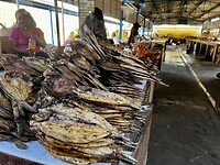 IMG_1920
