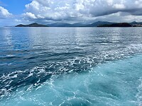 IMG_1941