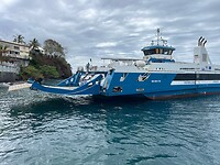 IMG_1938