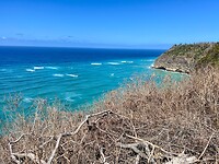IMG_1969
