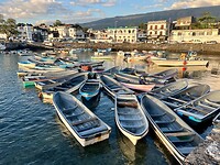 IMG_2065