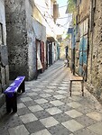 IMG_2029
