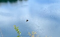 IMG_2137