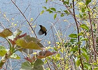 IMG_2135