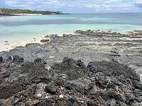 IMG_2105