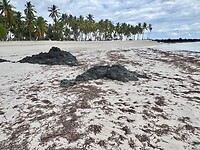 IMG_2097