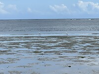 IMG_2086