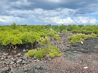 IMG_2083