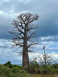 IMG_2081