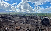 IMG_2073