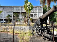 IMG_2261