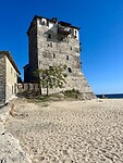 IMG_2494