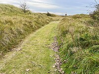IMG_2888
