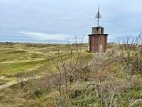 IMG_2885