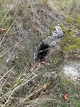 IMG_2884