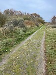 IMG_2868