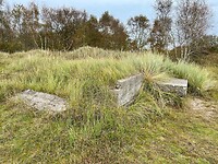 IMG_2866