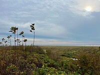 IMG_2861