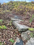 IMG_2863