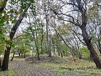 IMG_2881