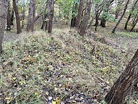 IMG_2879