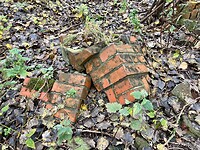 IMG_2874