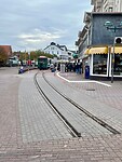 IMG_2904