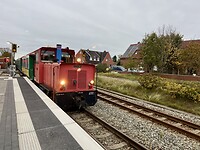 IMG_2913