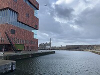 IMG_3489