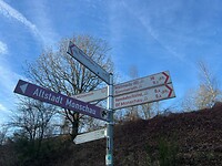 IMG_3649