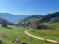 IMG_4419