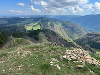 IMG_4426