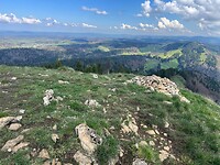 IMG_4438