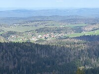 IMG_4439