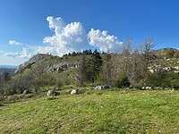 IMG_4480
