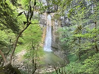 IMG_4507