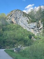 IMG_4528