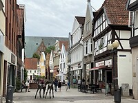 IMG_5350
