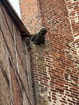IMG_5395