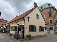 IMG_5503