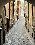 IMG_5983
