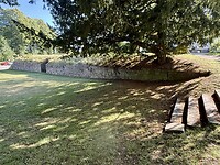 IMG_6605