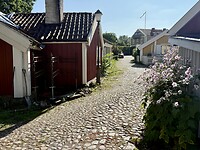 IMG_6597