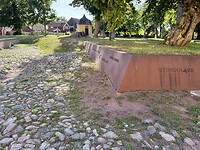 IMG_6596