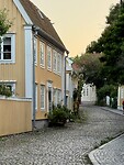 IMG_6623