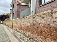 IMG_5402