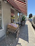 IMG_5628