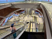 IMG_7305